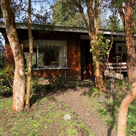 Cabanas El Bosque Patagonico Frutillar Exterior photo