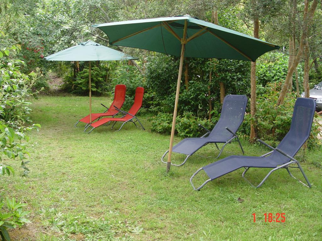 Cabanas El Bosque Patagonico Frutillar Room photo