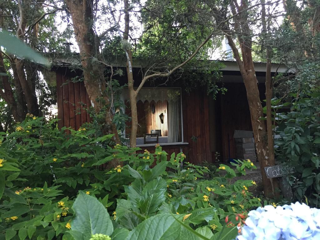 Cabanas El Bosque Patagonico Frutillar Exterior photo